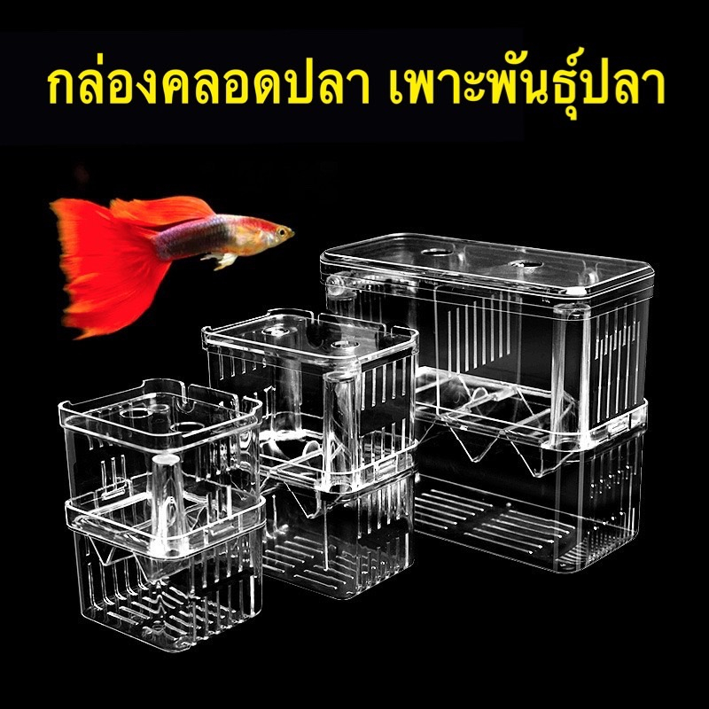 10 อันดับ กล่องแยกปลา ขายดีที่สุดใน Shopee
