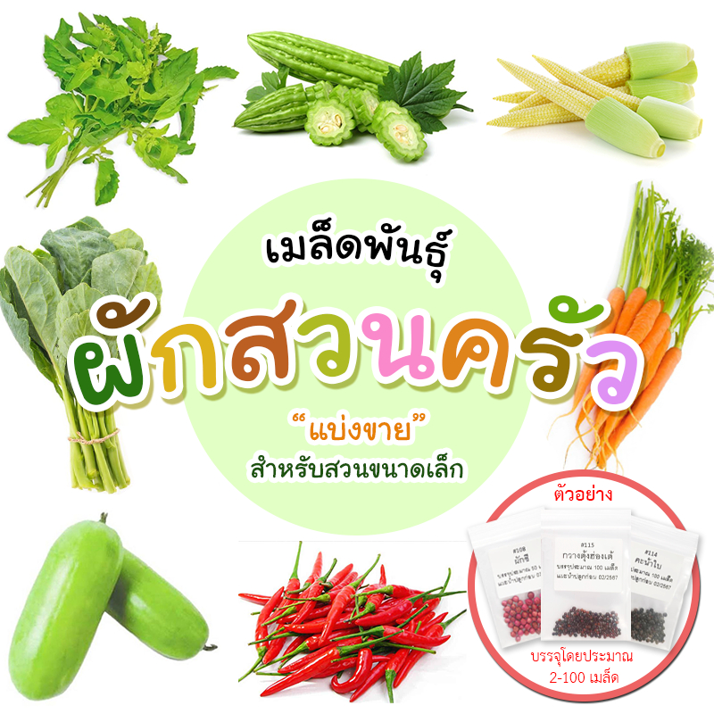 10 อันดับ เมล็ดพันธุ์พืชผักสวนครัว ขายดีใน Shopee