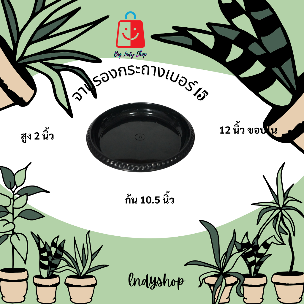 10 อันดับ กระถางต้นไม้ดีไซน์เก๋ ขายดีใน Shopee