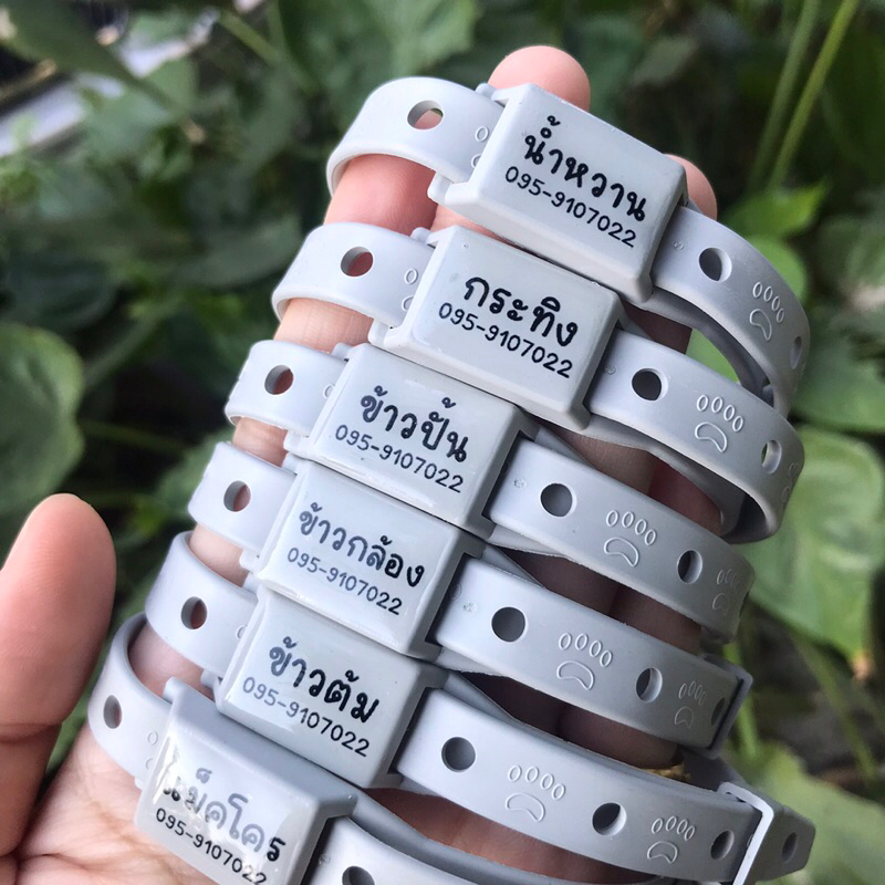 10 อันดับ ปลอกคอหมากันเห็บหมัด ขายดีใน Shopee