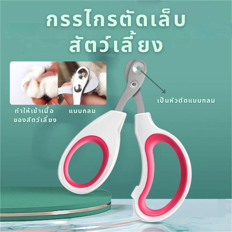 10 อันดับ ที่ตัดเล็บสัตว์เลี้ยง ขายดีใน Shopee