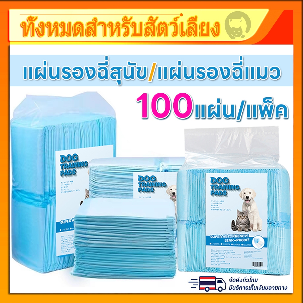 10 อันดับ แผ่นรองฉี่สุนัข ขายดีใน Shopee