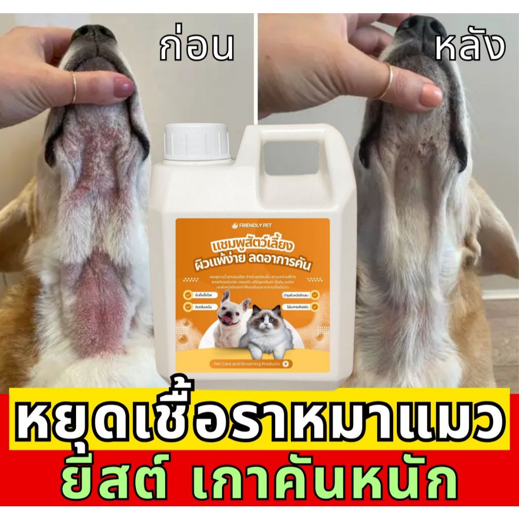 10 อันดับ รีวิวผลิตภัณฑ์กำจัดเห็บหมัดสุนัข ขายดีใน Shopee
