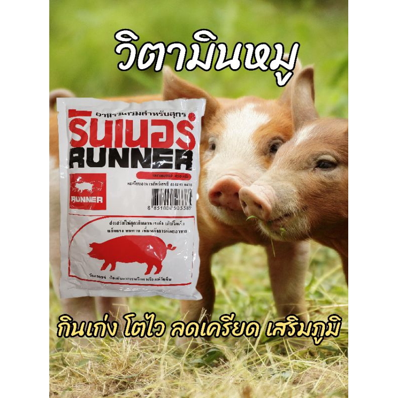 10 อันดับ อาหารเสริมช่วยย่อยสัตว์เลี้ยง ขายดีใน Shopee