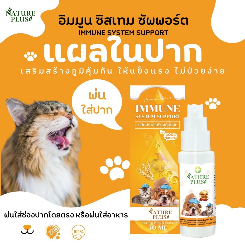10 อันดับ วิตามินเสริมสร้างภูมิคุ้มกันสัตว์เลี้ยงป่วยบ่อย ขายดีที่สุดใน Shopee