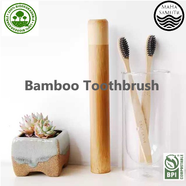6 อันดับ แปรงสีฟันไม้ไผ่รักษ์โลก ที่ขายดีที่สุดใน Shopee